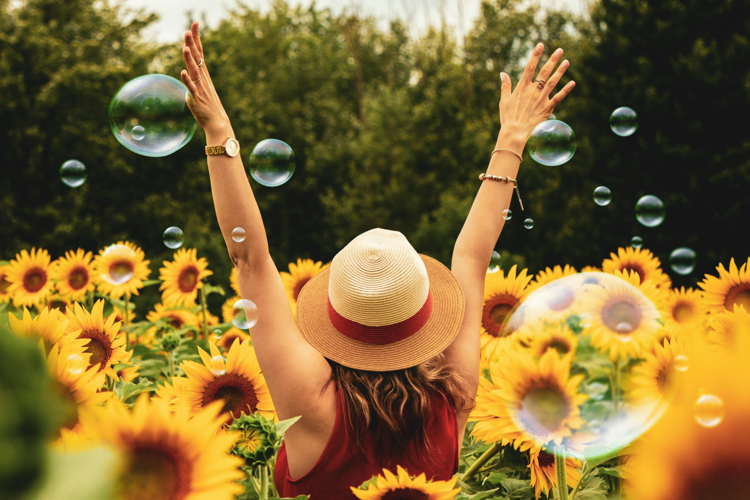 woman in a field of sunflowers