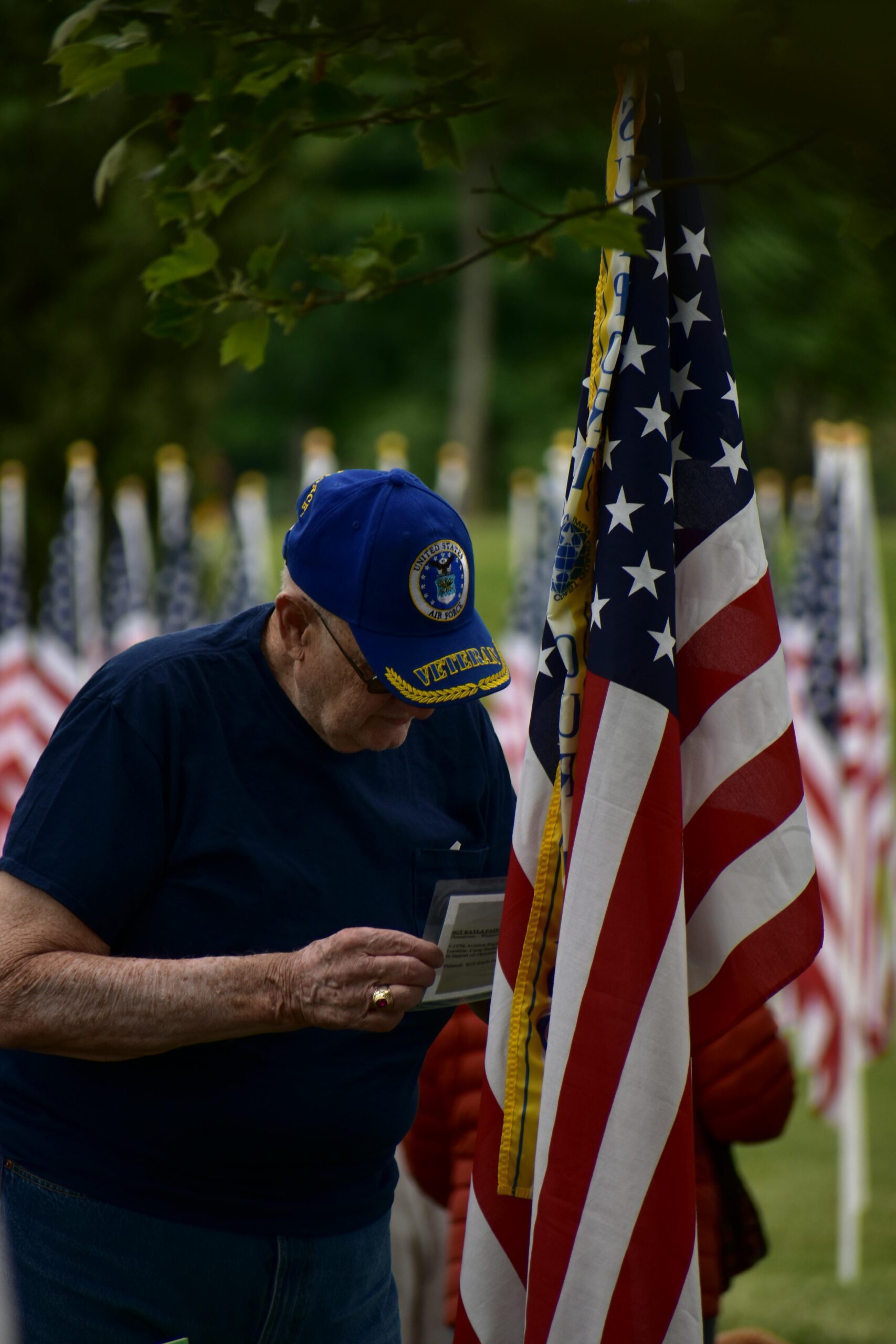 Celebrating Veterans Day